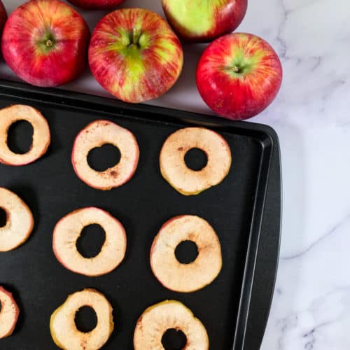 Pumpkin Spice Baked Apple Chips Recipe Summer Yule Nutrition