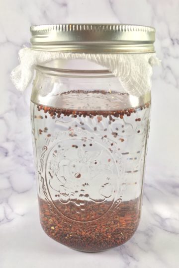 Broccoli sprout seeds in water