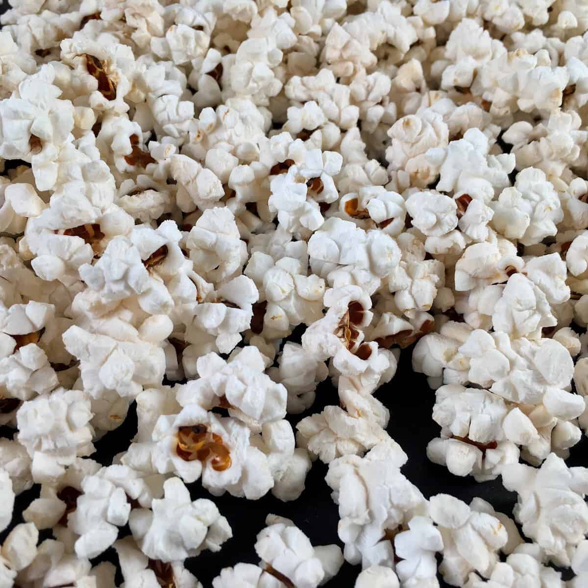 Springen affix zelfmoord Air Fryer Popcorn Recipe (Does microwave popcorn in air fryer work?)