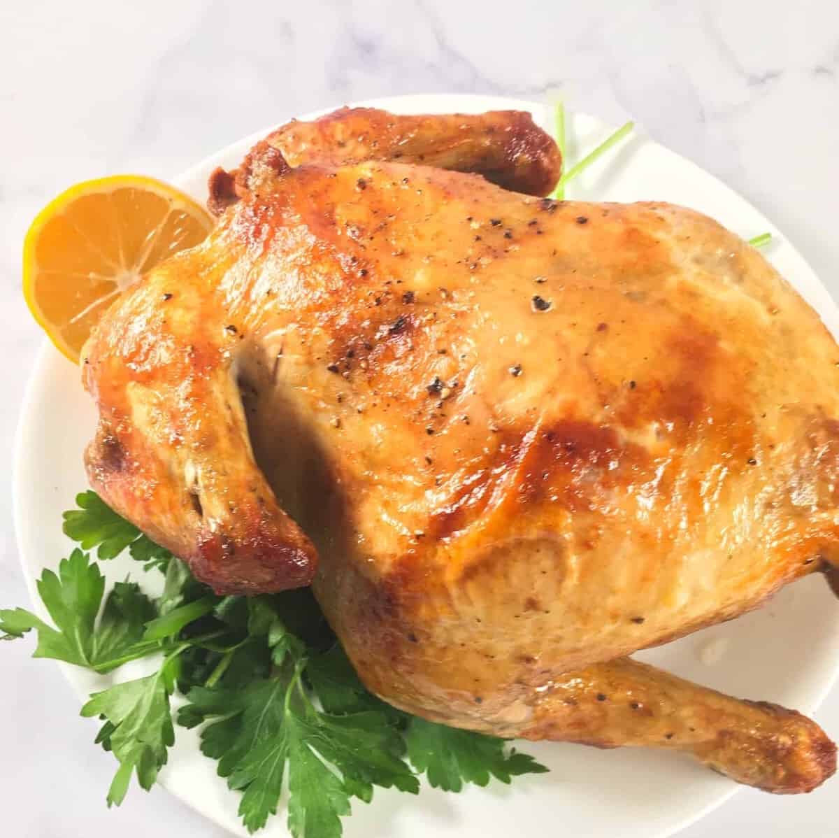 Can I cook a whole chicken in Instant Vortex Plus 10-Quart Air Fryer using  rotisserie function?
