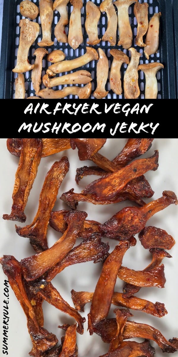 air fryer vegan mushroom jerky