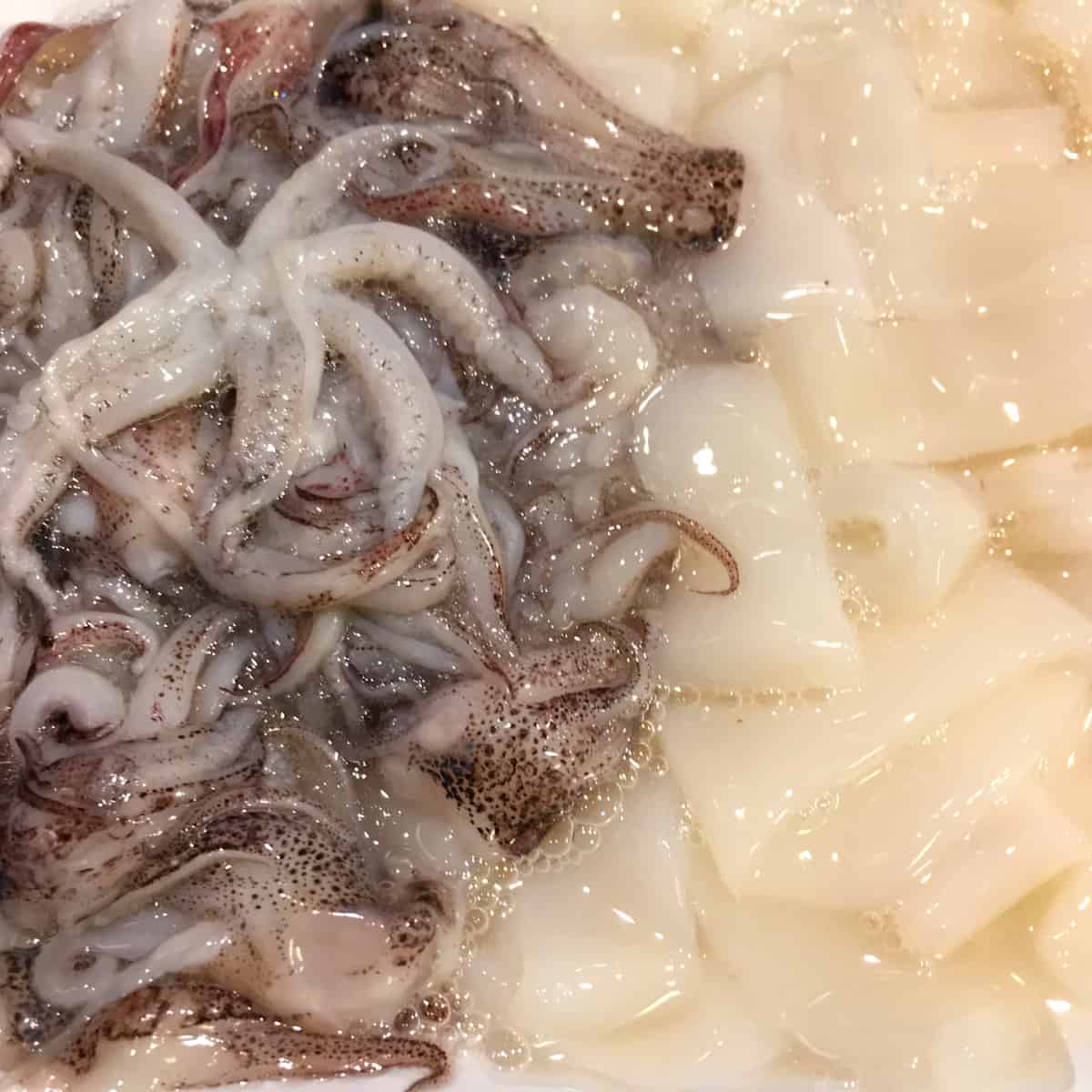 raw squid rings and tentacles