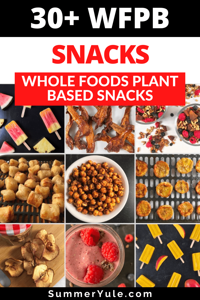 101 plant based snack ideas