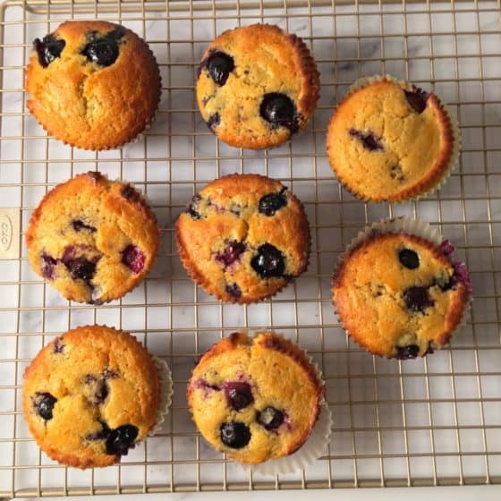 Kodiak Blueberry Muffins Recipe (Kodiak Cakes Blueberry Muffins)