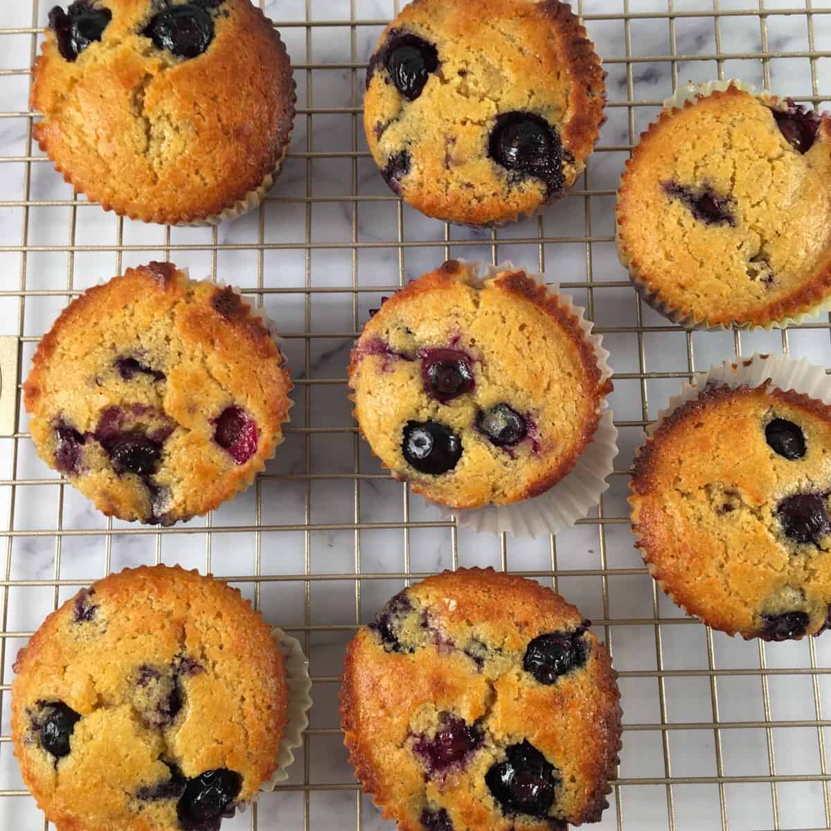 Kodiak Cakes Muffins (Blueberry Protein Muffins)