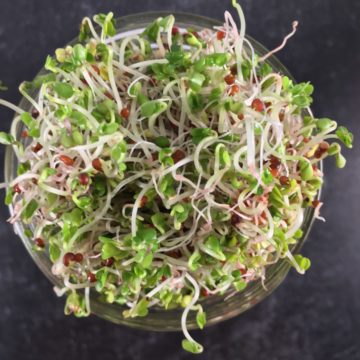 sprouted-broccoli-recipe