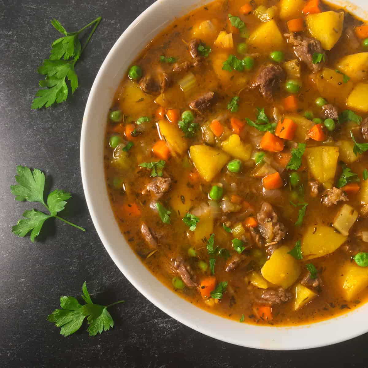 beef vegetable soup instant pot