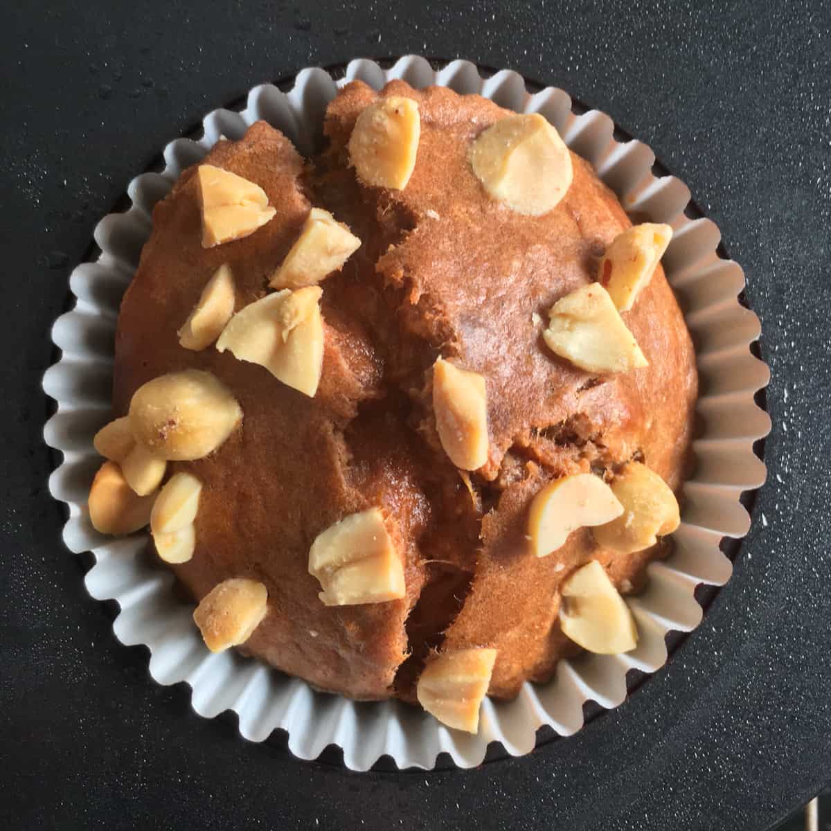 peanut flour muffin