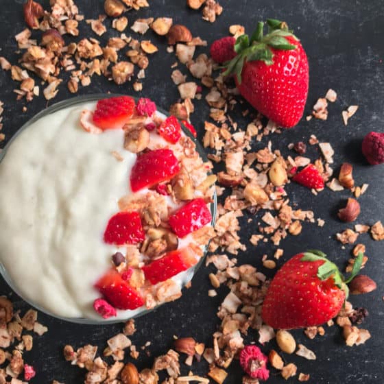 Oat Milk Yogurt Recipe (How to Make Oat Yogurt) • Summer Yule Nutrition