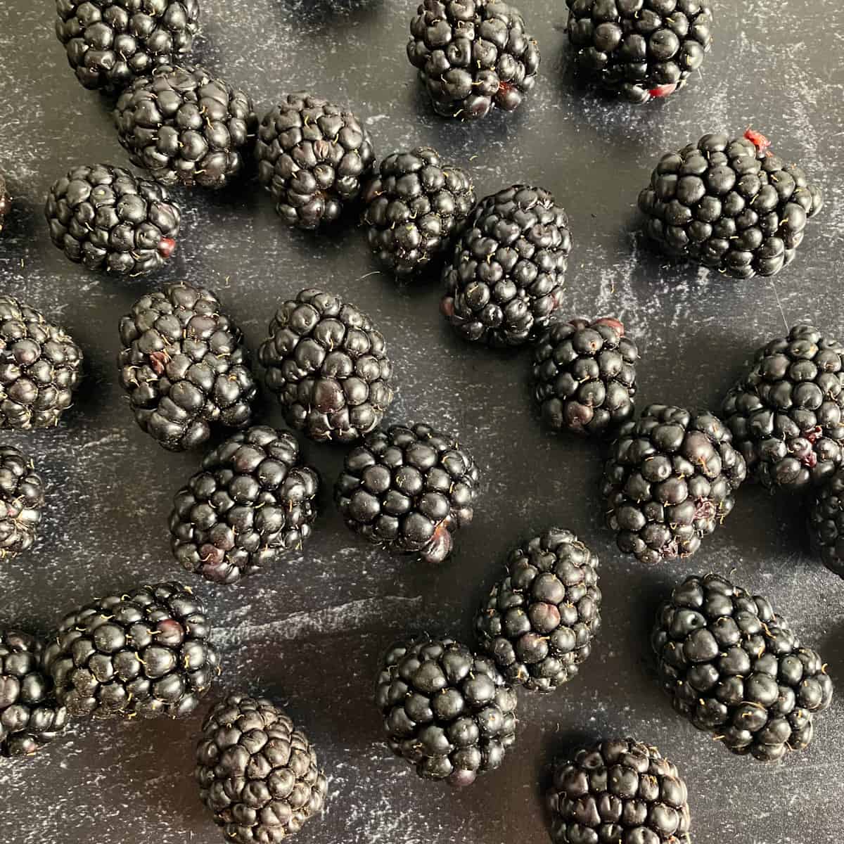 blackberries