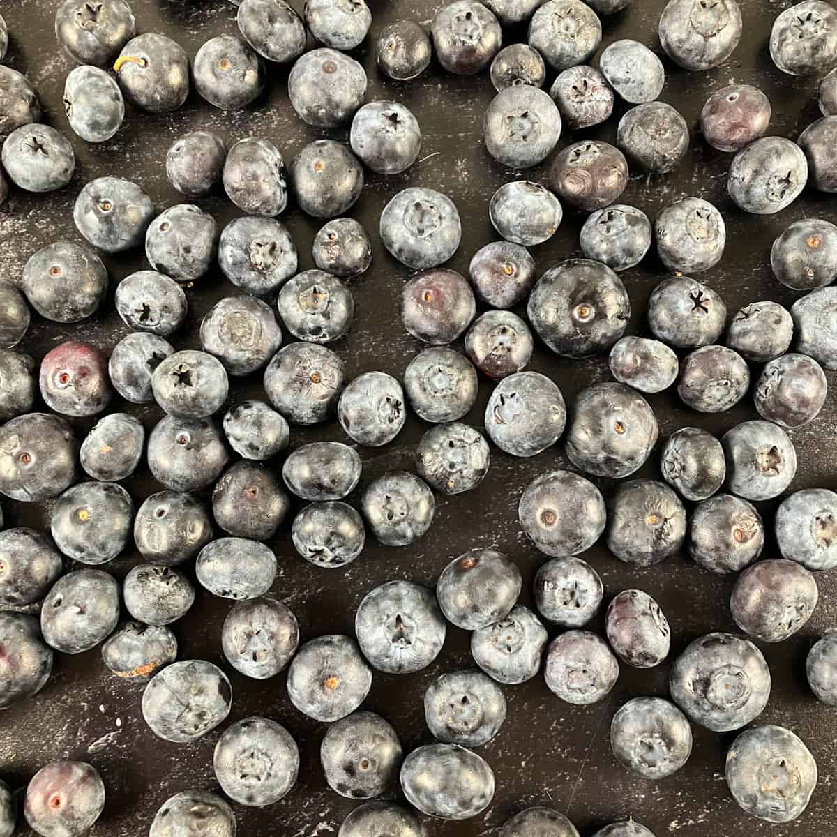 blueberries