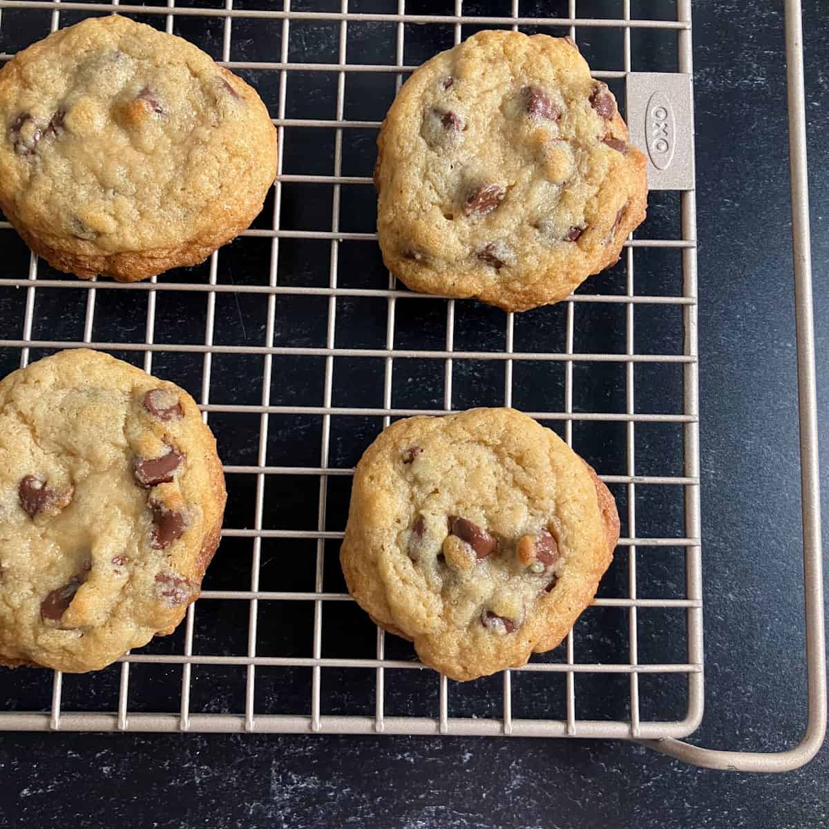 chocolate chip cookies no dairy