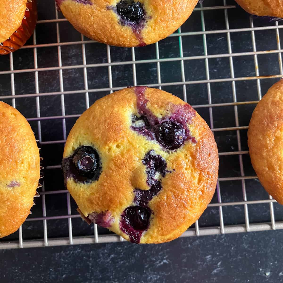 blueberry muffin cake mix