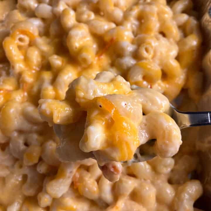 Costco Mac And Cheese (Kirkland Mac N Cheese Recipe Review)