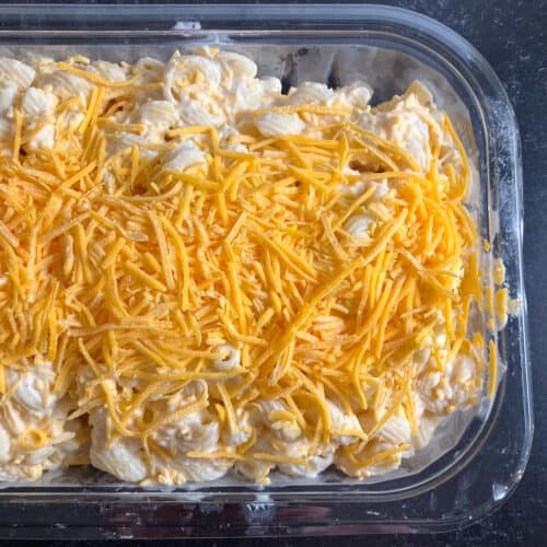 Costco Mac and Cheese (Kirkland Mac n Cheese Recipe Review)