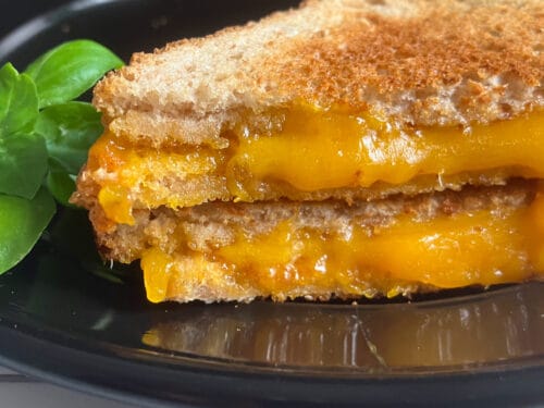 Can THIS gadget MICROWAVE a Grilled Cheese Sandwich? 