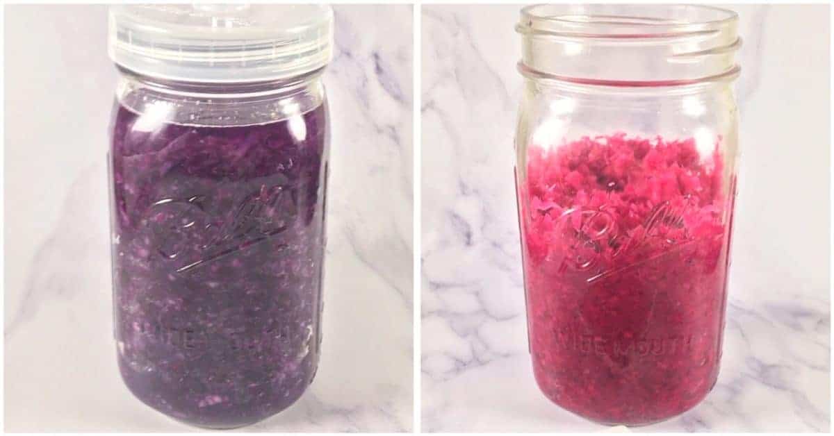 red cabbage color vs fermented sauerkraut