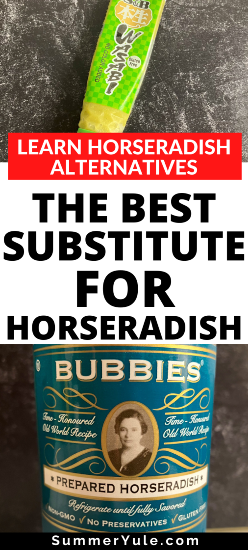 Best Horseradish Substitute (Alternative, Replacement)