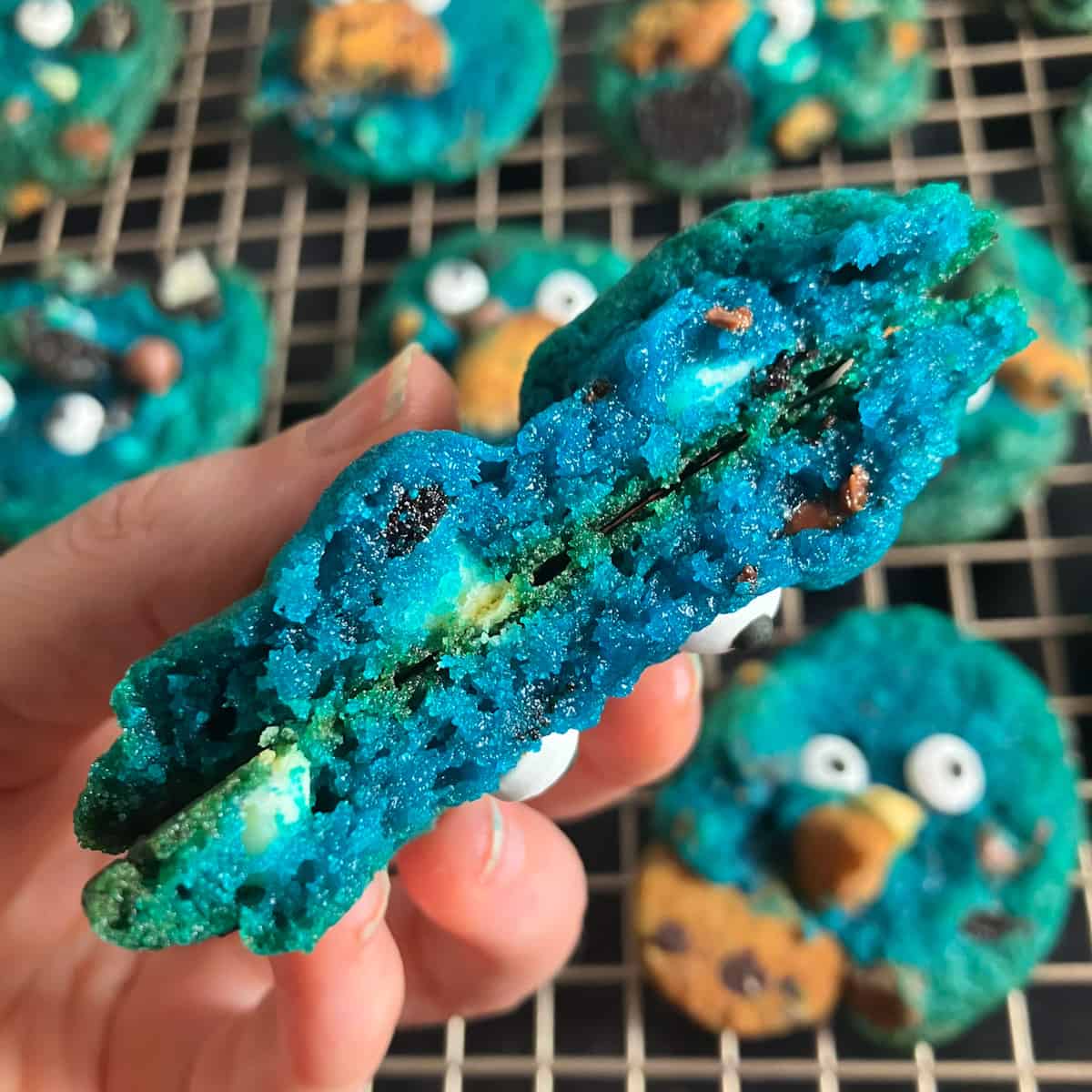 cookie monster cookie