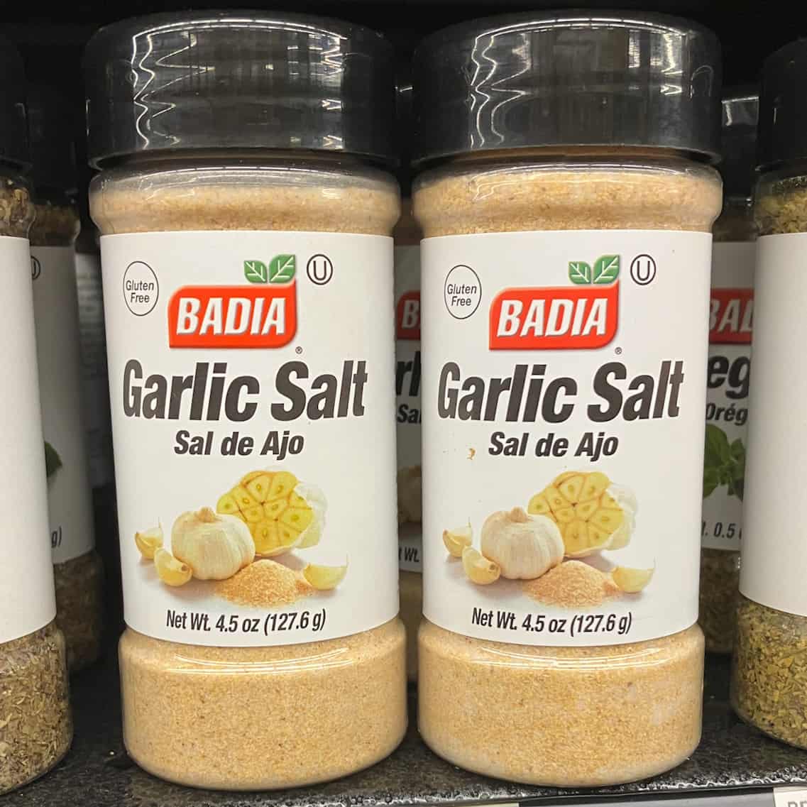 garlic salt alternatives