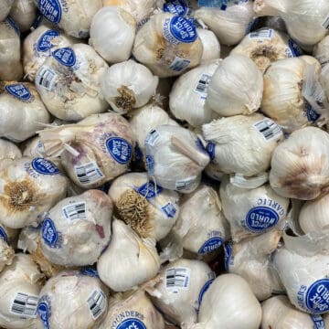 garlic salt substitutes