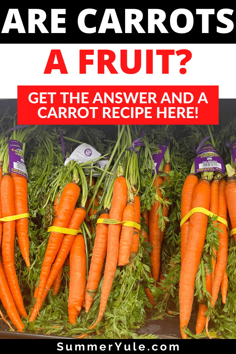 are carrots a fruit