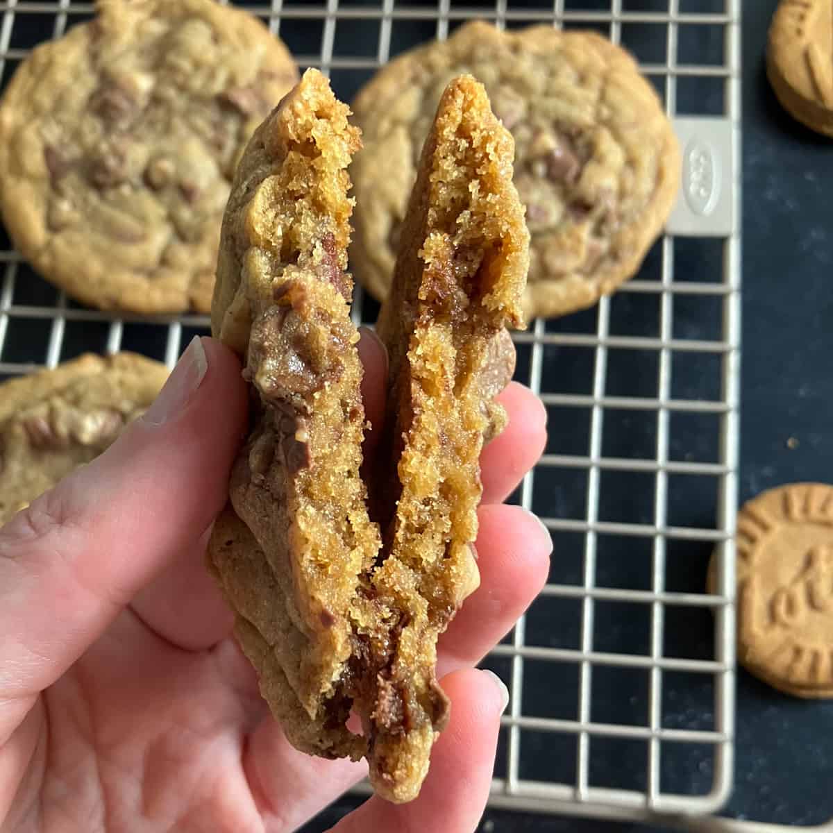 chewy biscoff cookies
