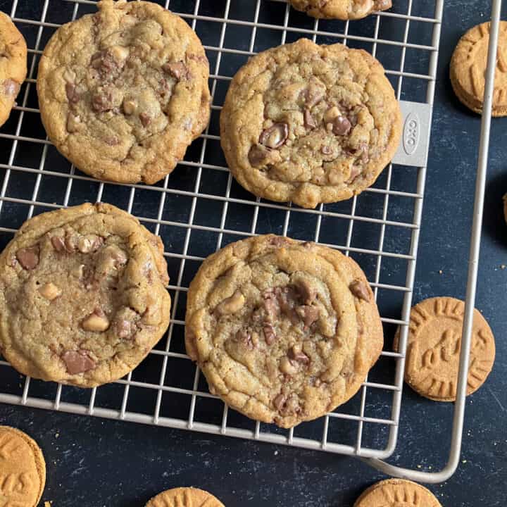 Biscoff Cookie Recipe (Lotus Cookie Butter Cookies)