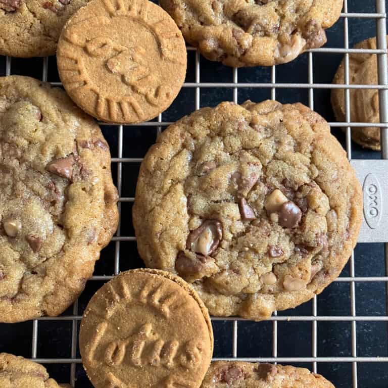 Biscoff Cookie Recipe (Lotus Cookie Butter Cookies)