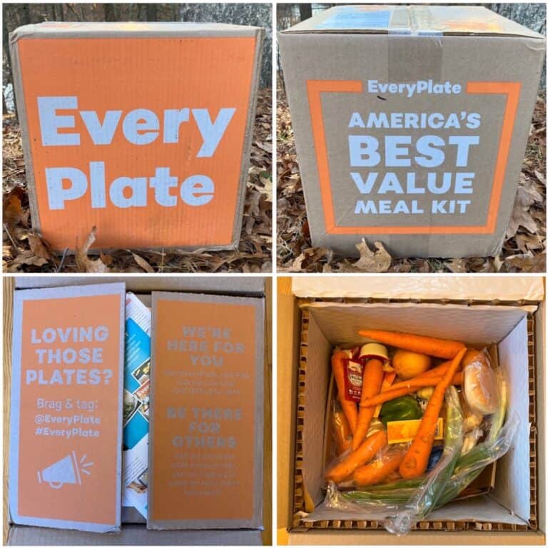 EveryPlate vs Hello Fresh (2024 Every Plate vs Hello Fresh)