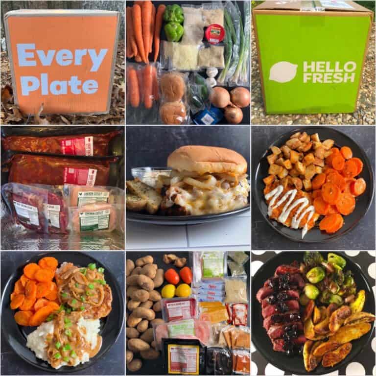 EveryPlate vs Hello Fresh (2024 Every Plate vs Hello Fresh)