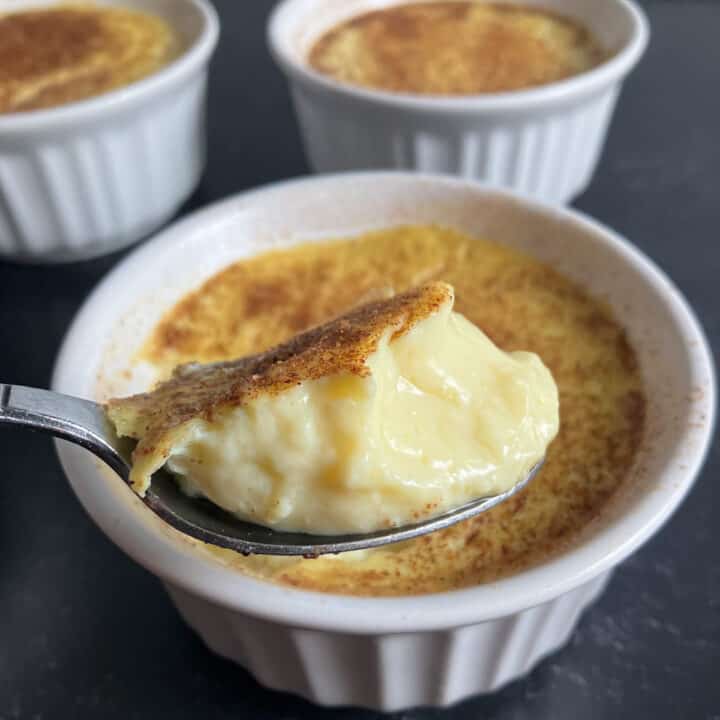 Sugar Free Custard Recipe (Low Sugar Low Carb Custard)