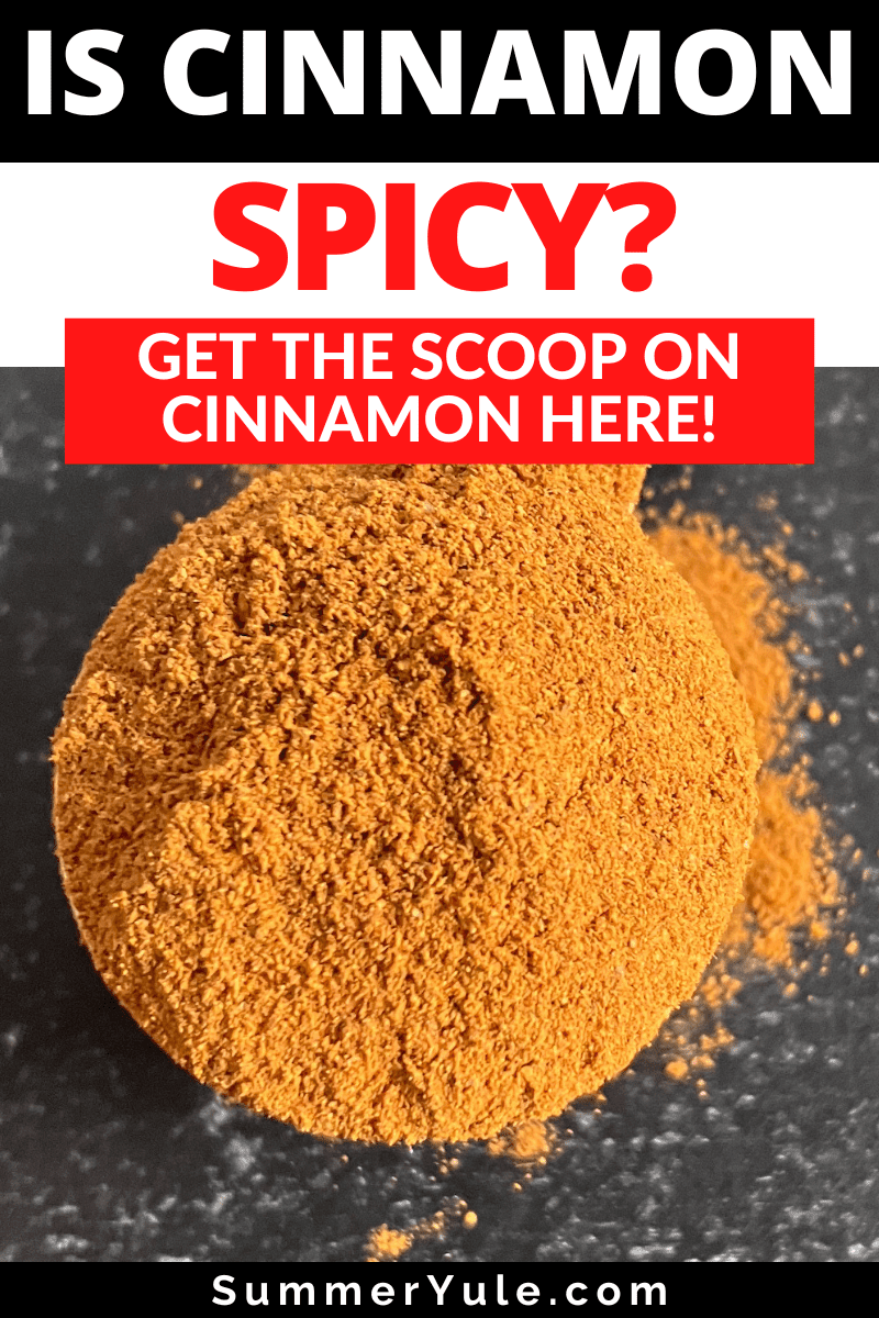 is cinnamon spicy