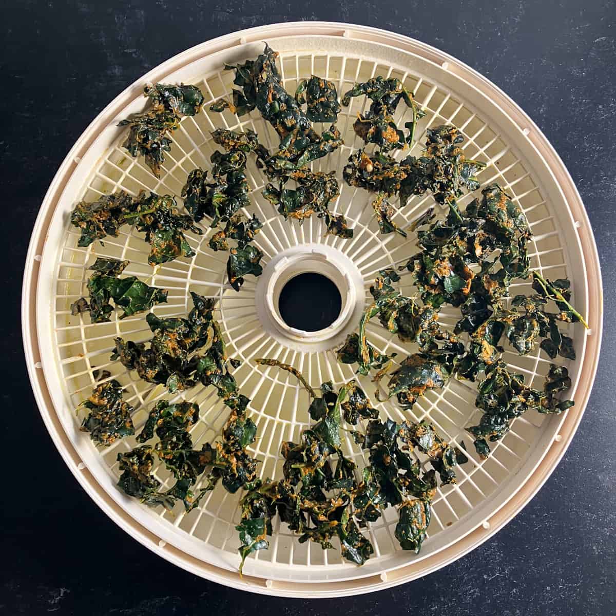dehydrated kale chips