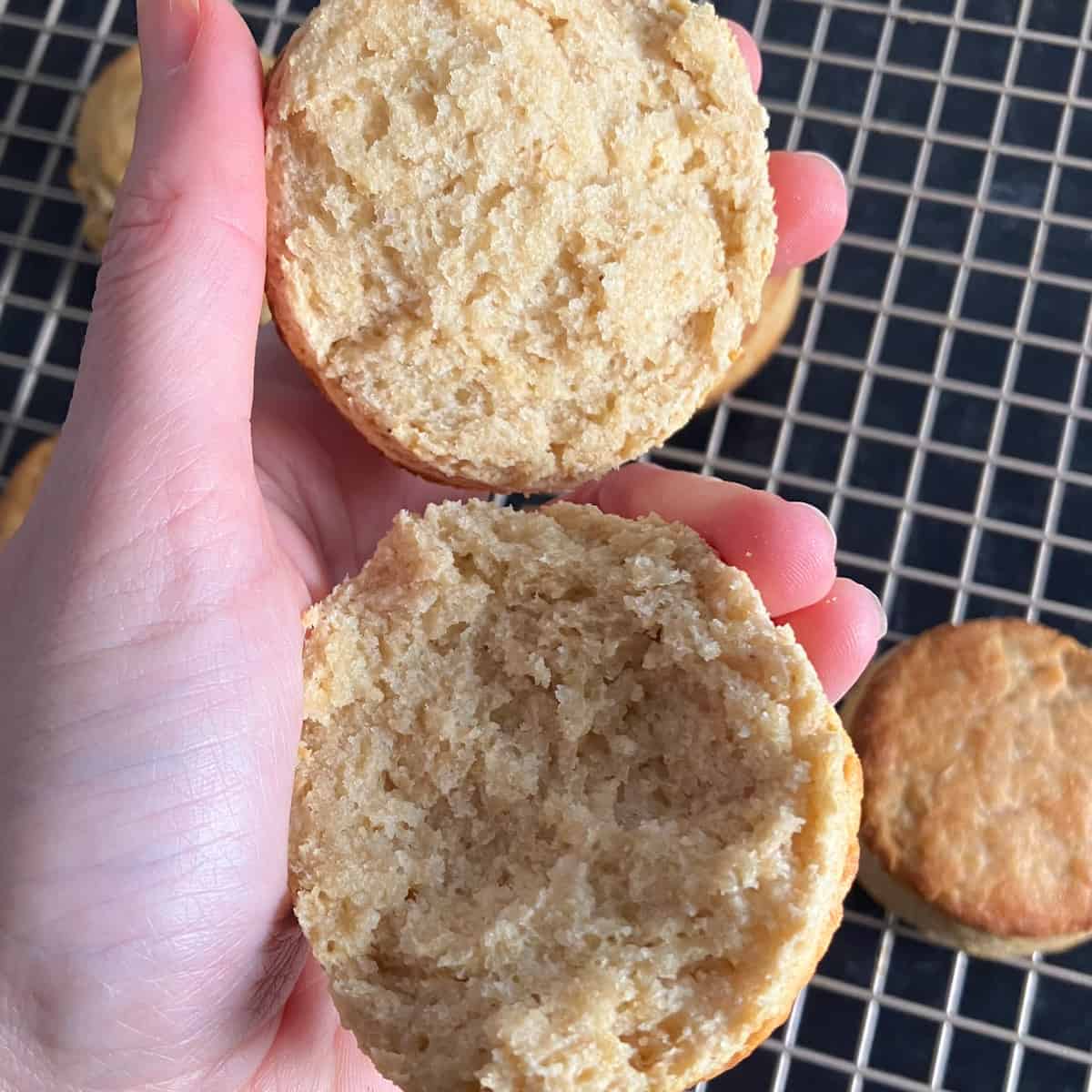 flaky protein biscuits