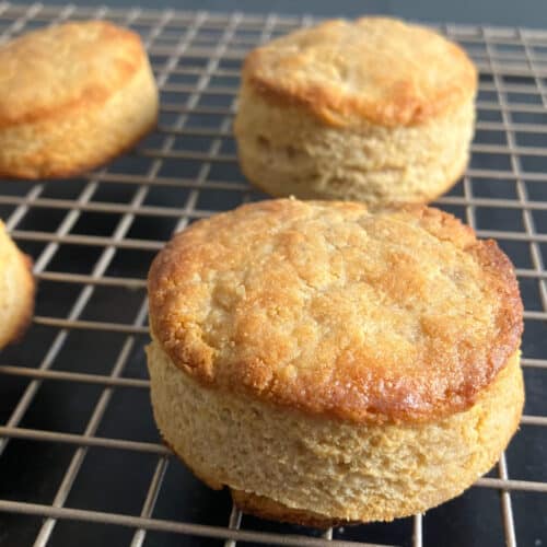 Protein Biscuits Recipe (High Protein Biscuits)