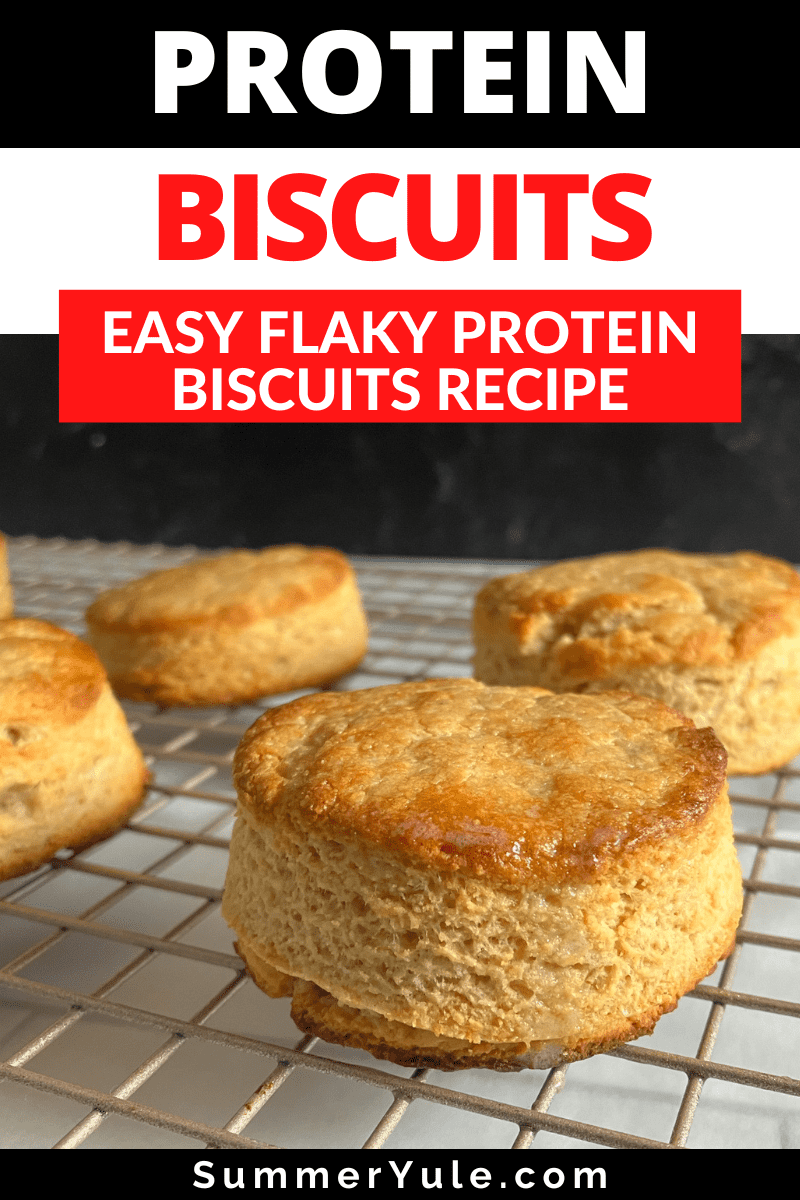 protein biscuits