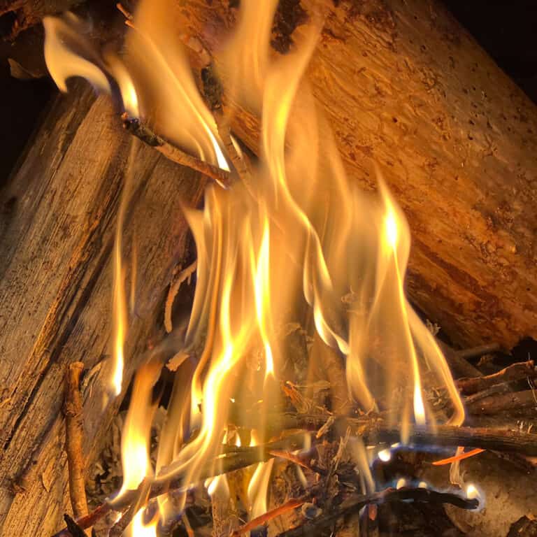 Campfire Cooking Kit (Best Open Fire Cooking Equipment Set)