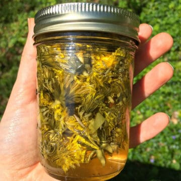 dandelion vinegar