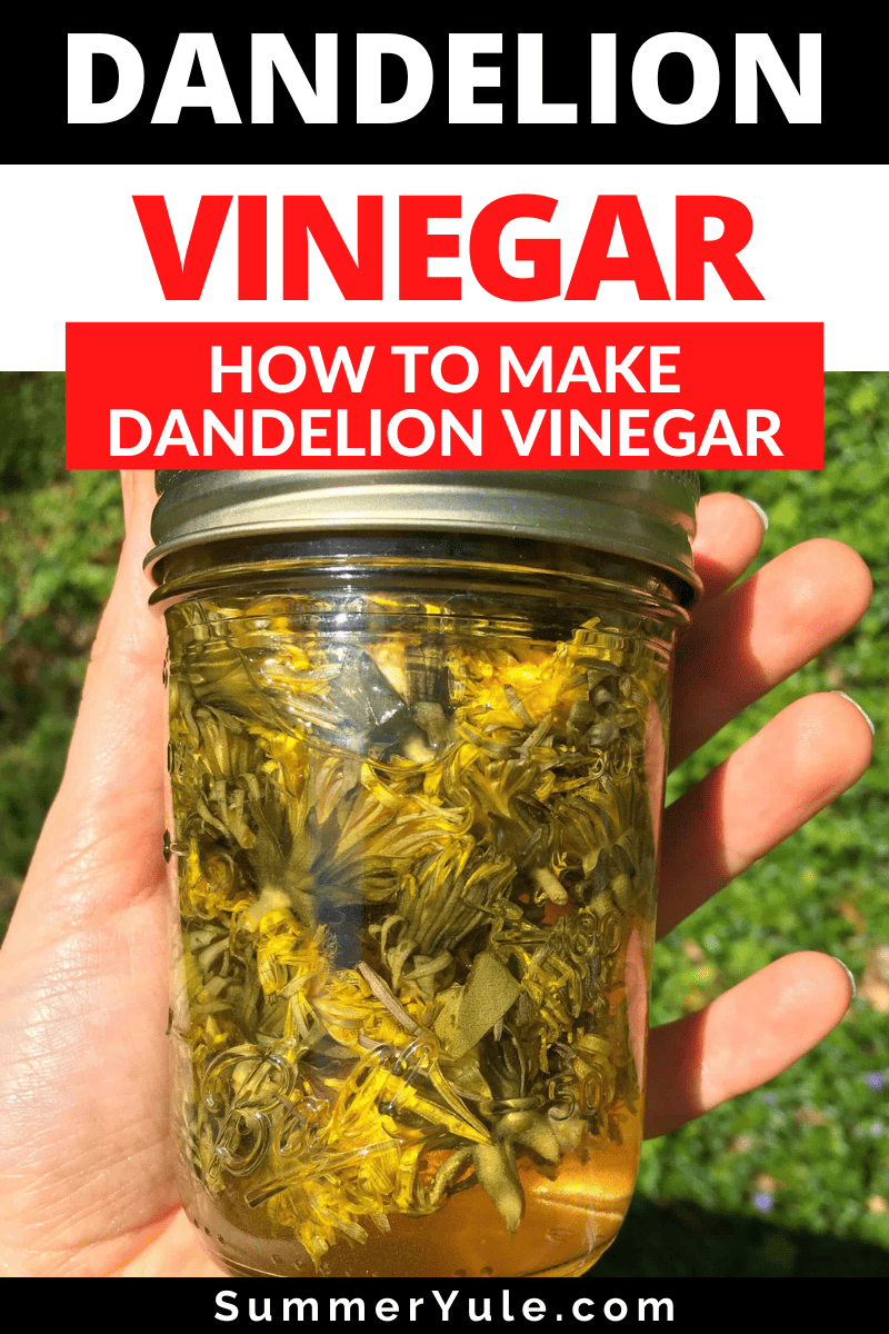 dandelion vinegar