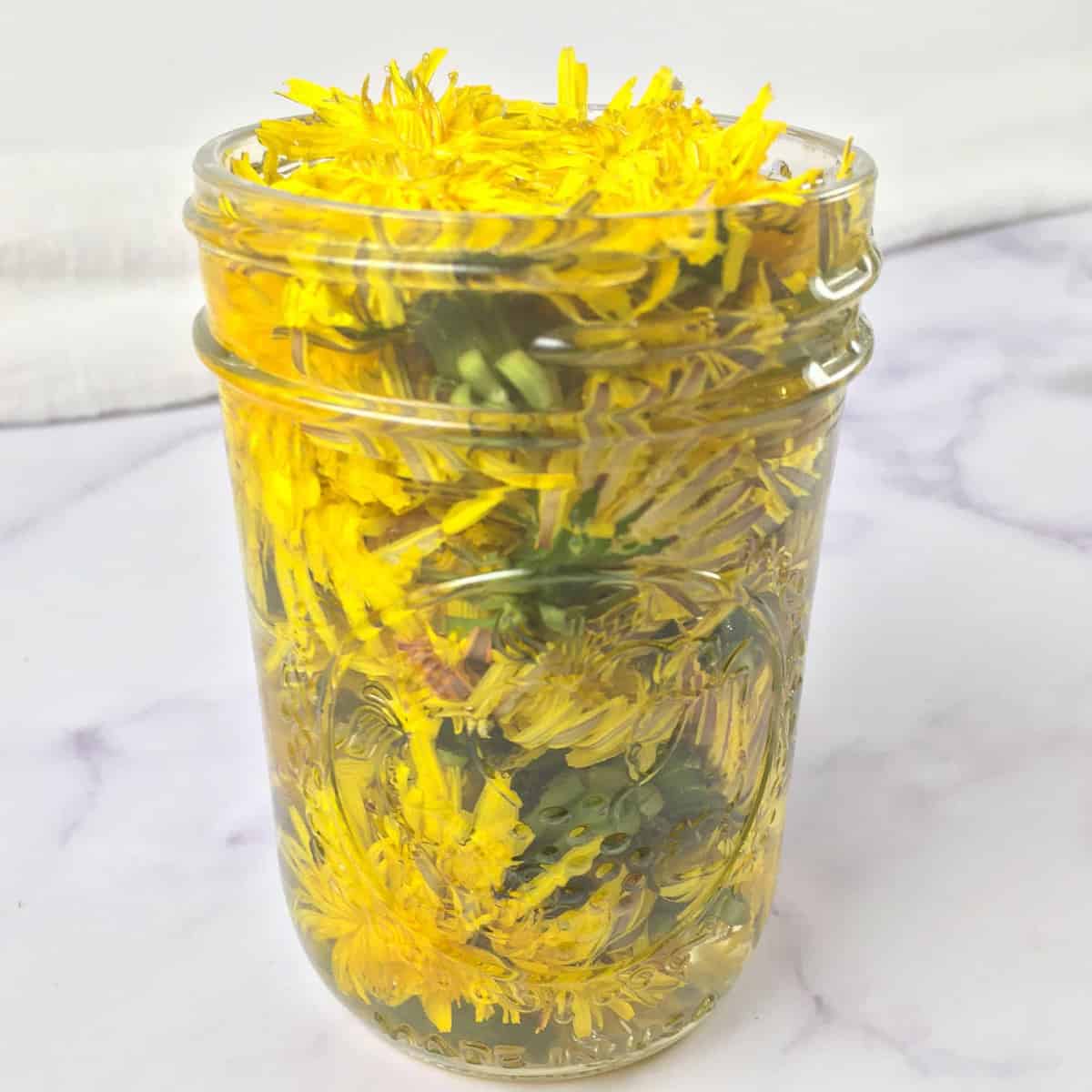 dandelions in a jar