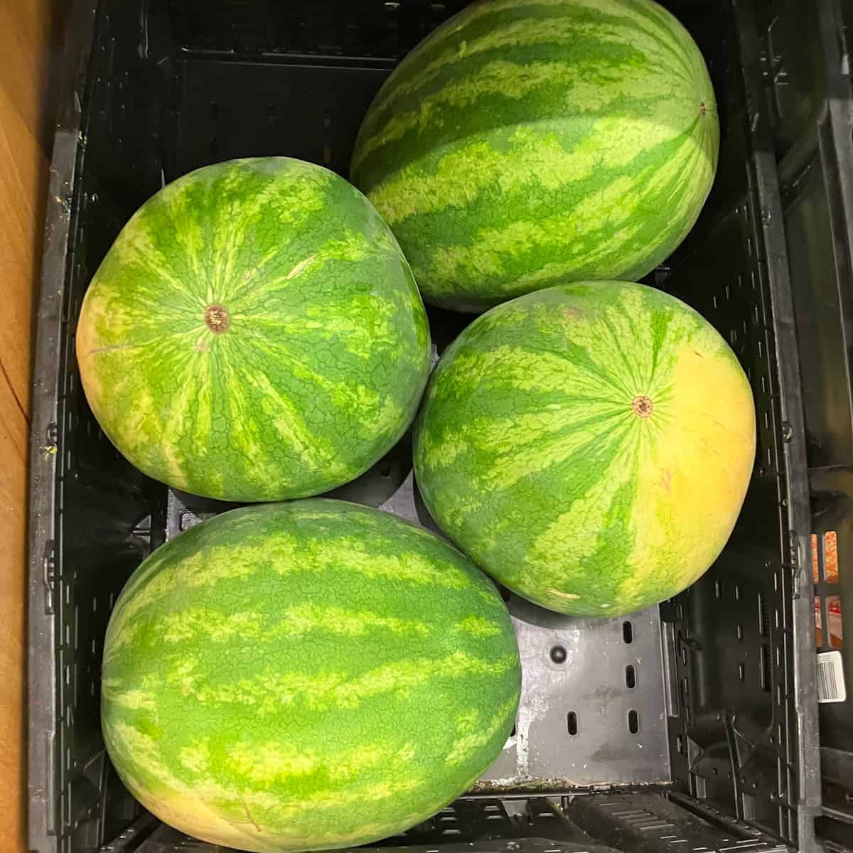 diabetes watermelon