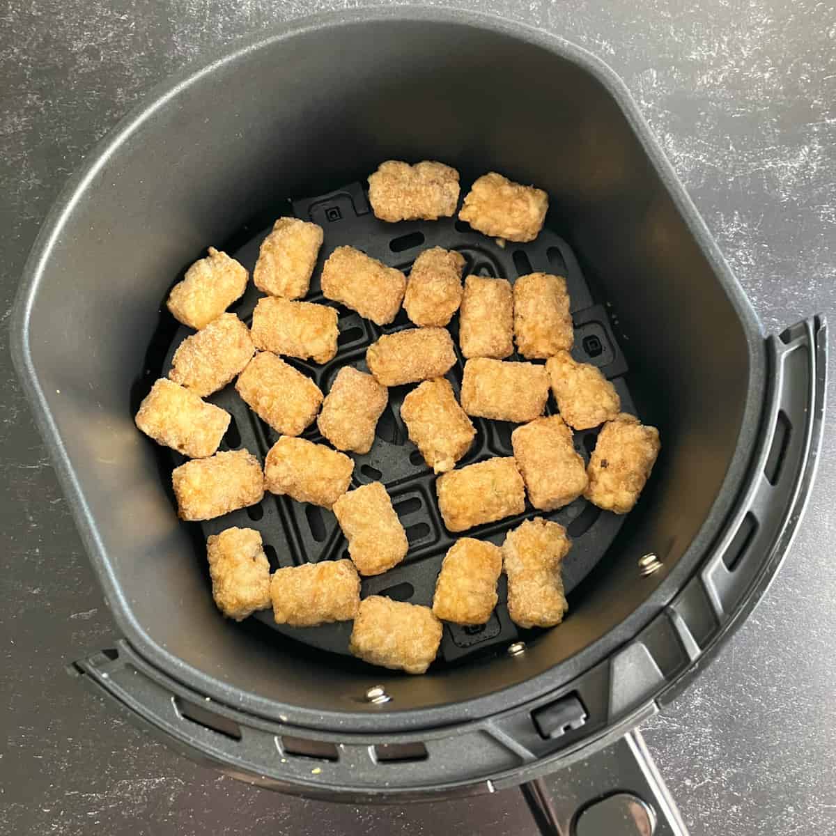 Ninja Foodi Air Fryer Tater Tots - Beyer Eats and Drinks