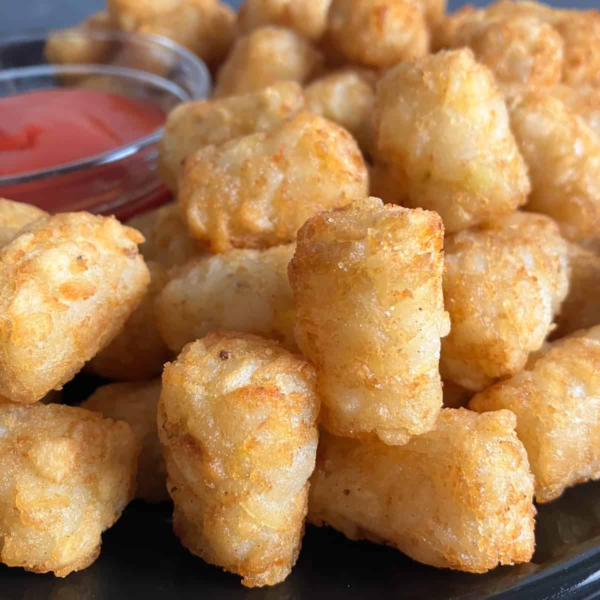 15 Minute Air Fryer Tater Tots - Midwest Foodie