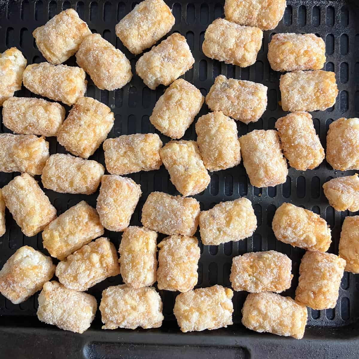 ore ida tater tots in air fryer