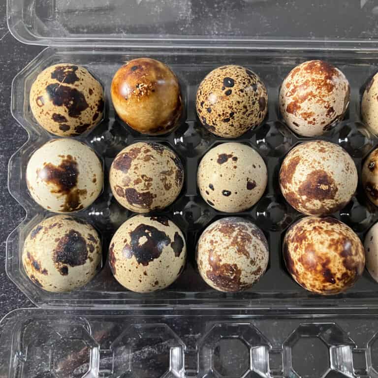 How Long to Boil Quail Eggs (How to Cook Quail Eggs 5 Ways)