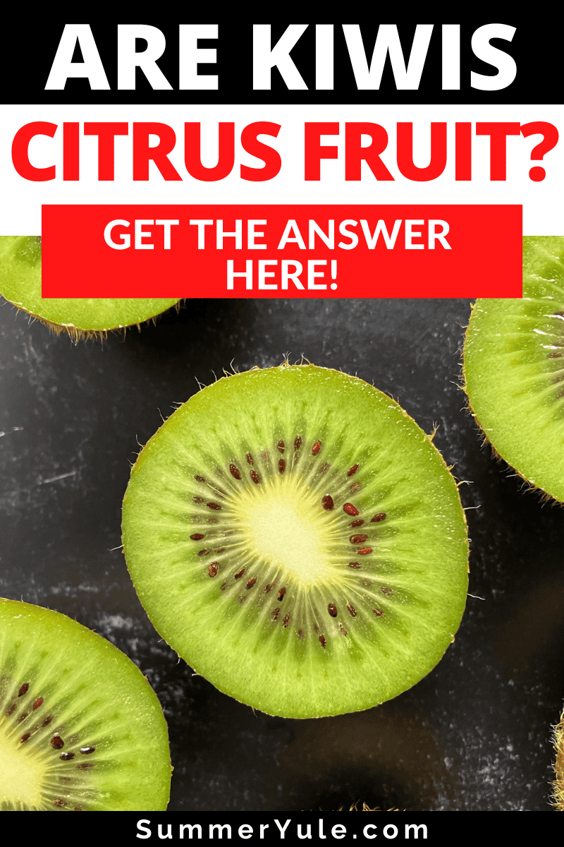 are kiwi citrus fruit