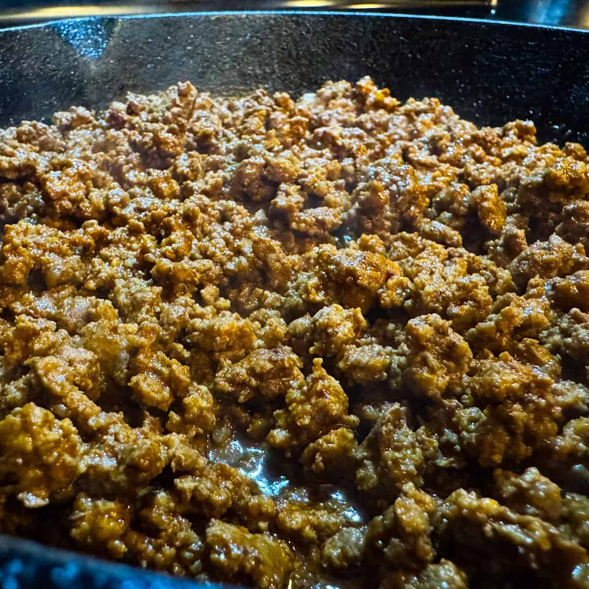 seasoned taco meat