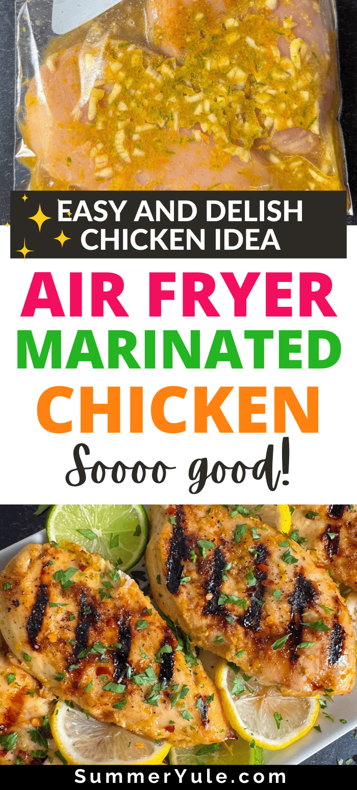 Air Fryer Marinated Chicken
