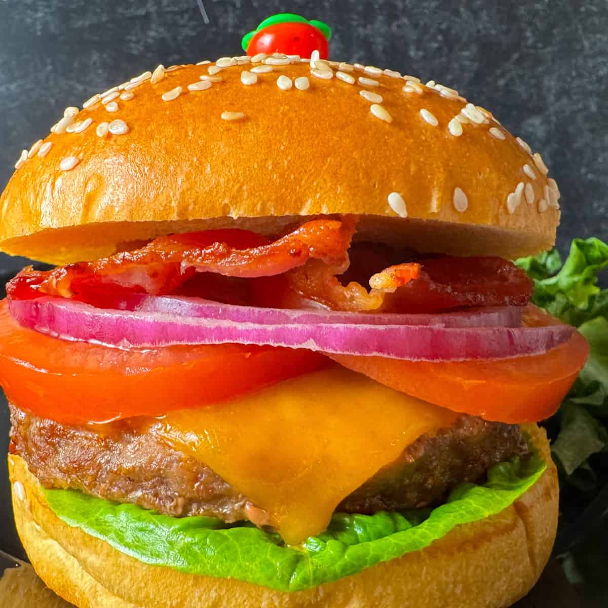 air fryer bison burger